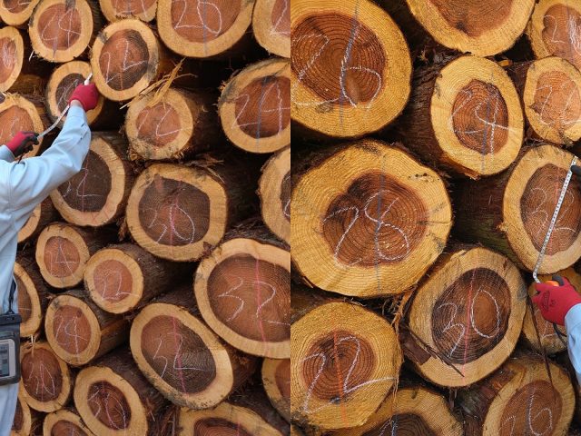 ImageToStl.com_merged-document